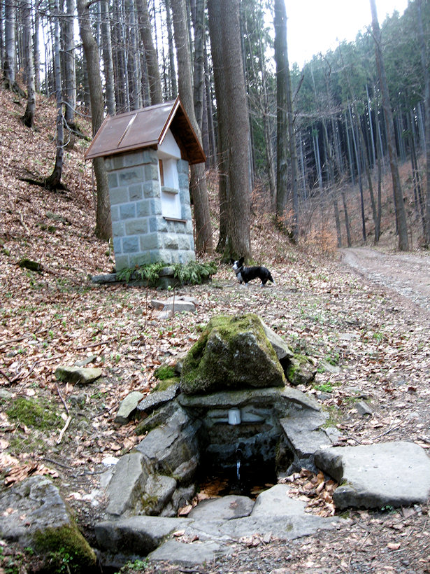 studánka Pod Skalkou (2839)
