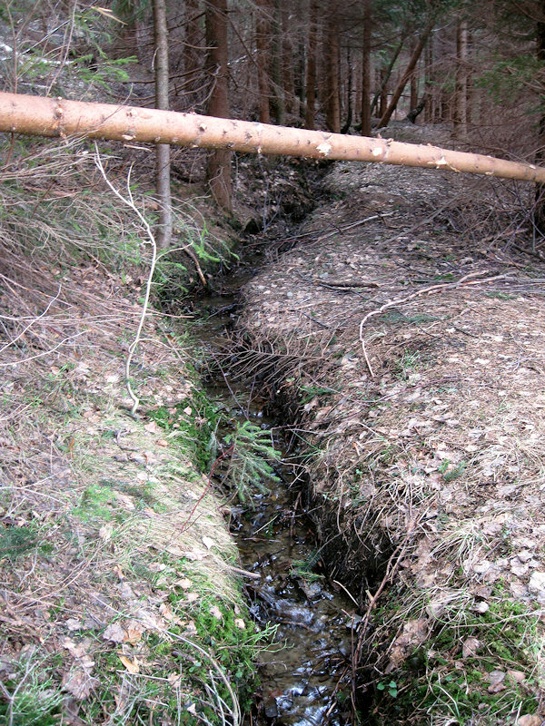 Zajícův pramen (2851)
