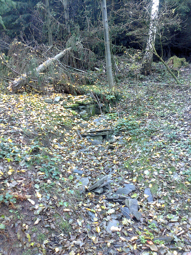 Fialova studánka (2860)