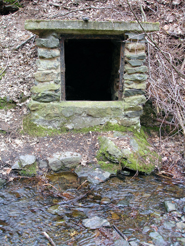 studánka bez jména (2867)