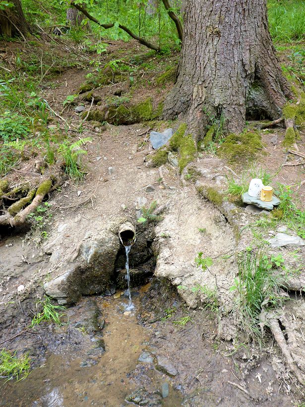 studánka bez jména (2870)