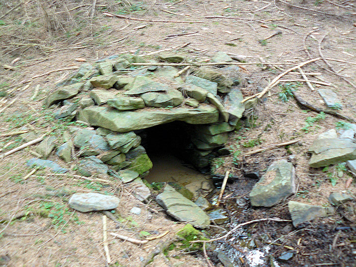 Studánka za Borovou (2875)