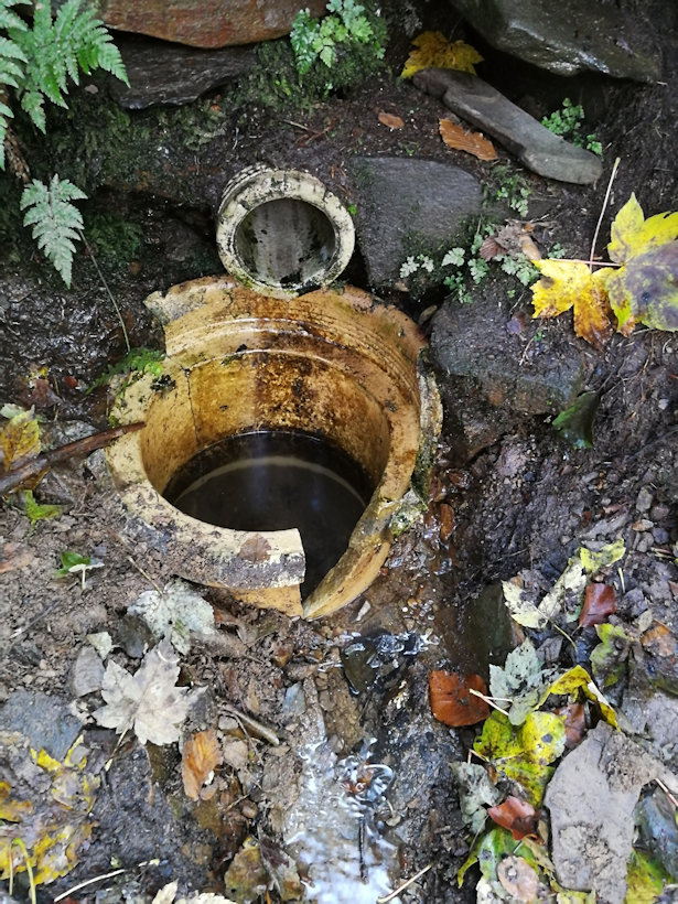 Studánka Bohumíra Pokorného (2878)