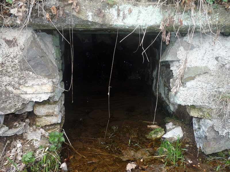 studánka Druhý Mlýn (2880)