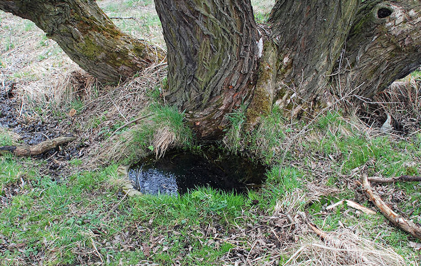studánka Zelená (2887)