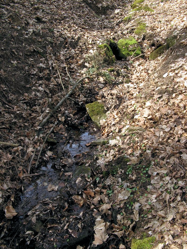 studánka Potoky (2893)