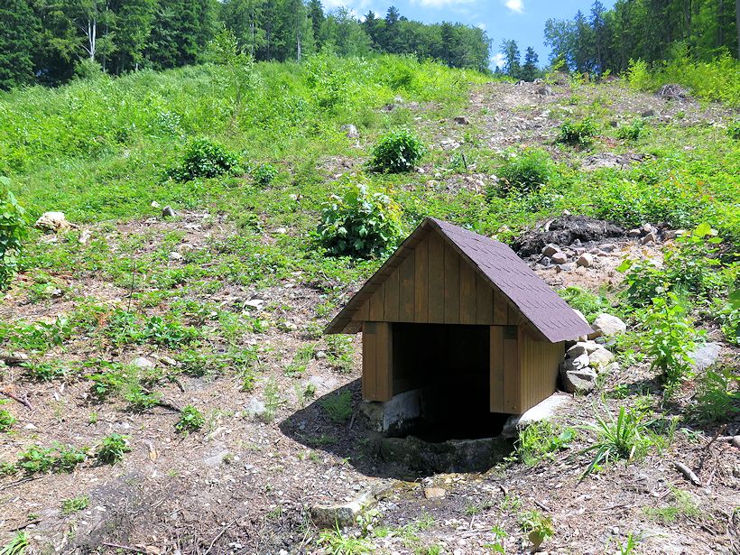 studánka bez jména (2895)