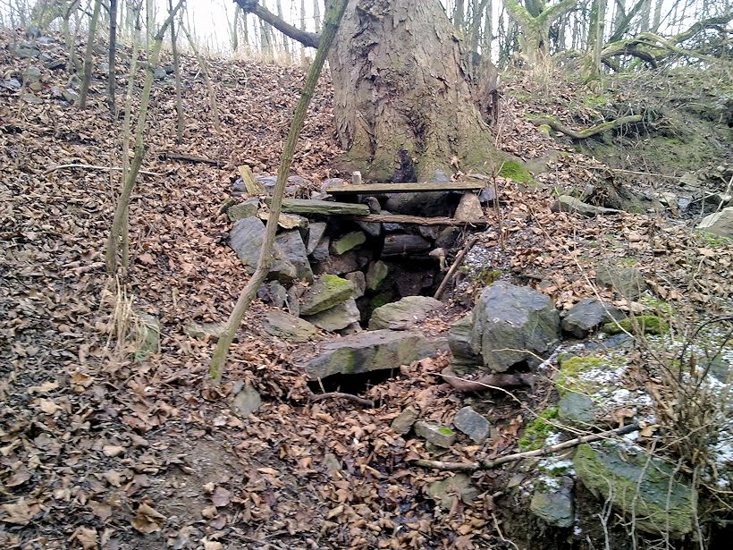 studánka Pod javorem (2903)
