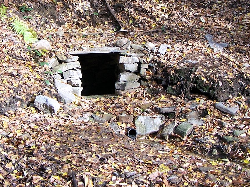 studánka Koňská (2909)