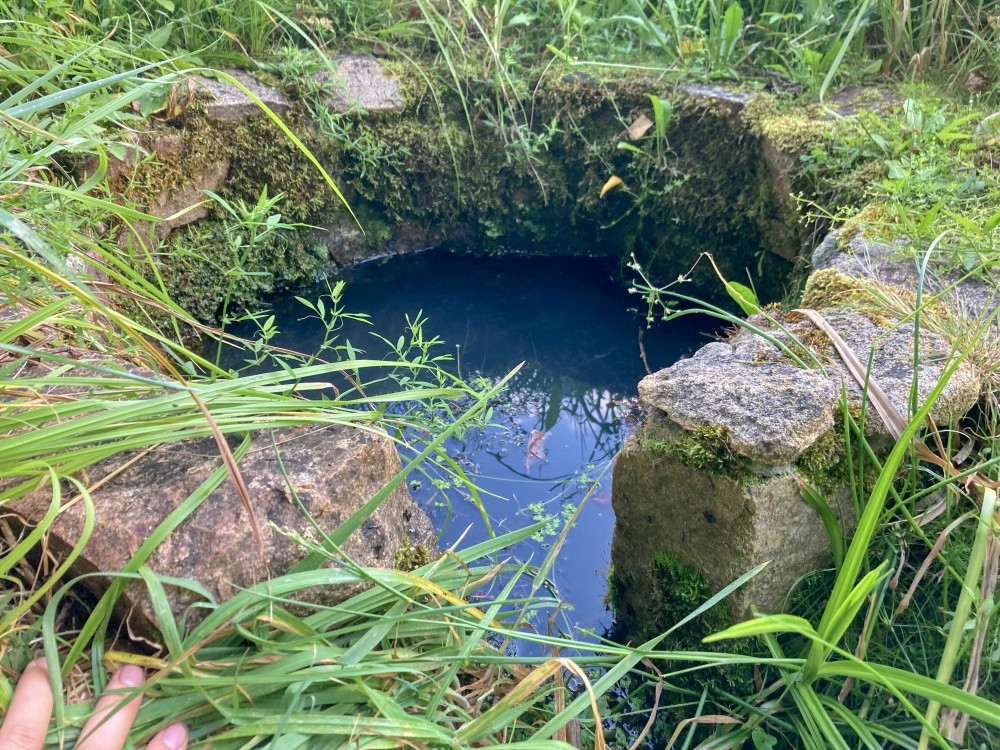 studánka bez jména (2914)