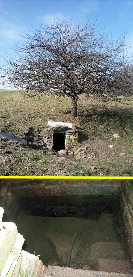 studánka Pod jabloní (2917)