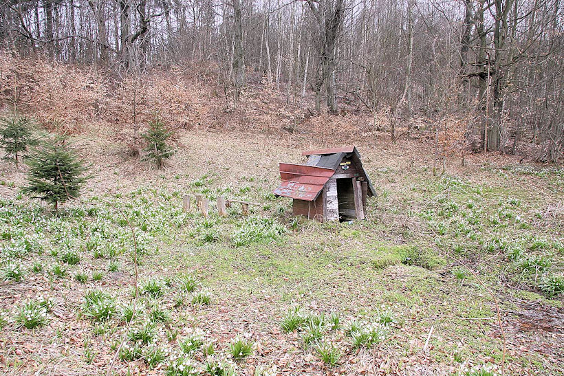 studánka Pod Pasekou (2937)