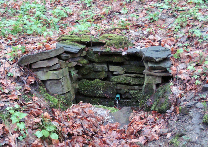 studánka Pod Kaluží (2956)