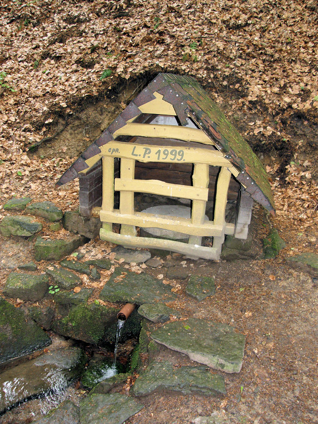 studánka Pod Bukovou horou (2958)
