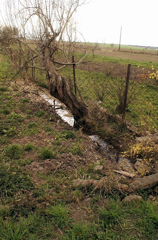 studánka Pod vrbou (2967)