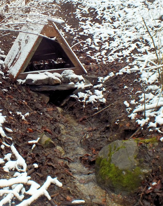 studánka bez jména (2972)