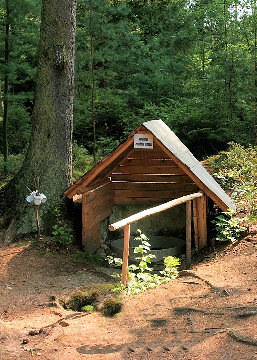 studánka Mechová (2982)