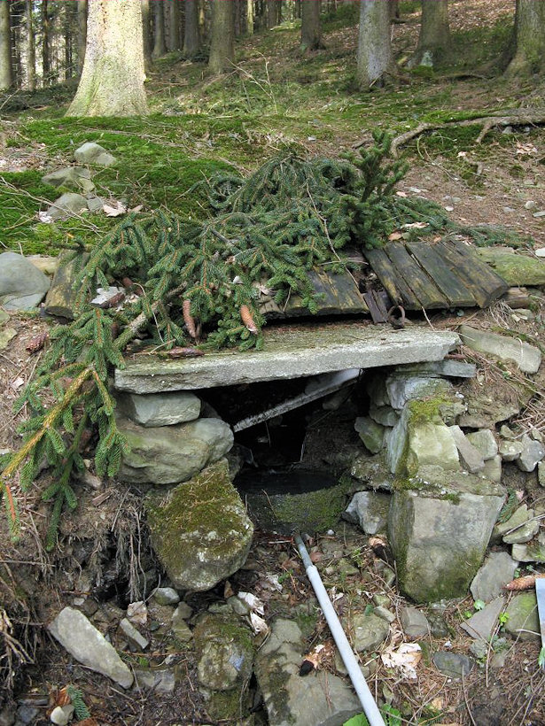 studánka bez jména (2991)