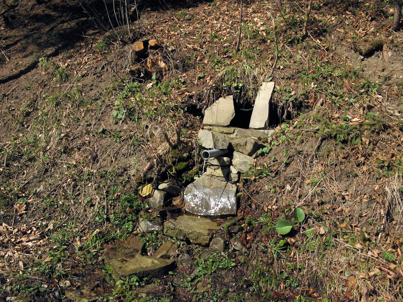 studánka Terčin pramen (2993)