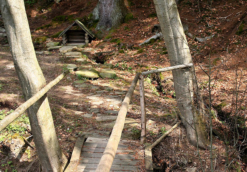 studánka U Jezerního potoka (3006)