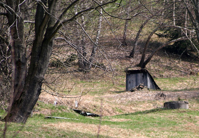 studánka bez jména (3007)