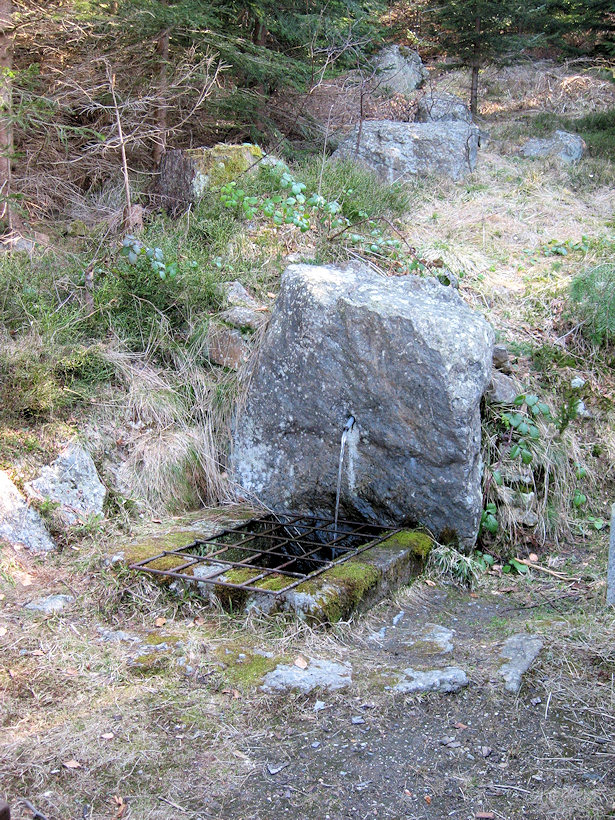 studánka Pod Dopplerem (3013)