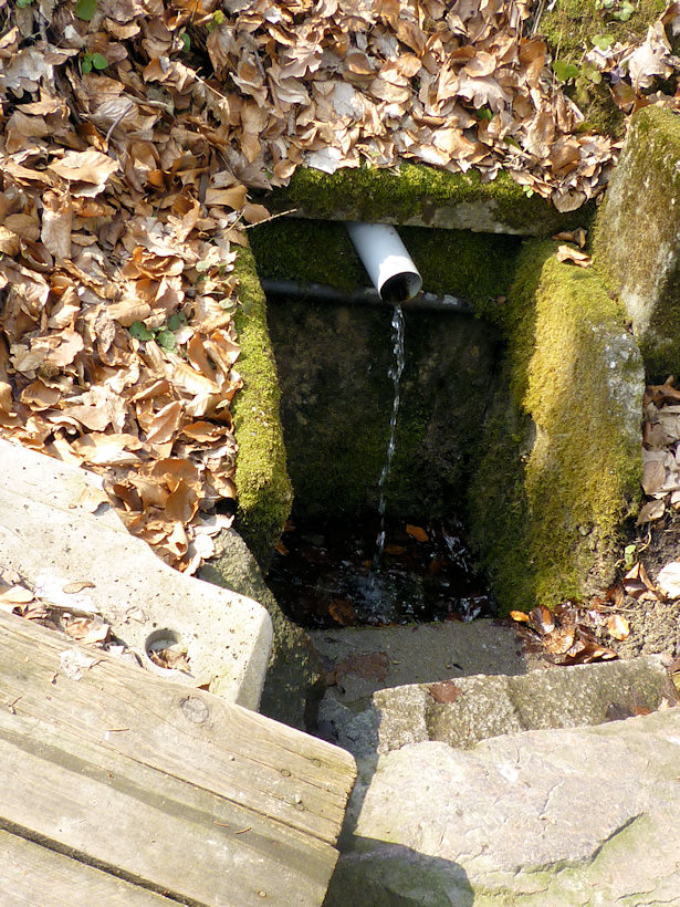 studánka U Indiána (3021)