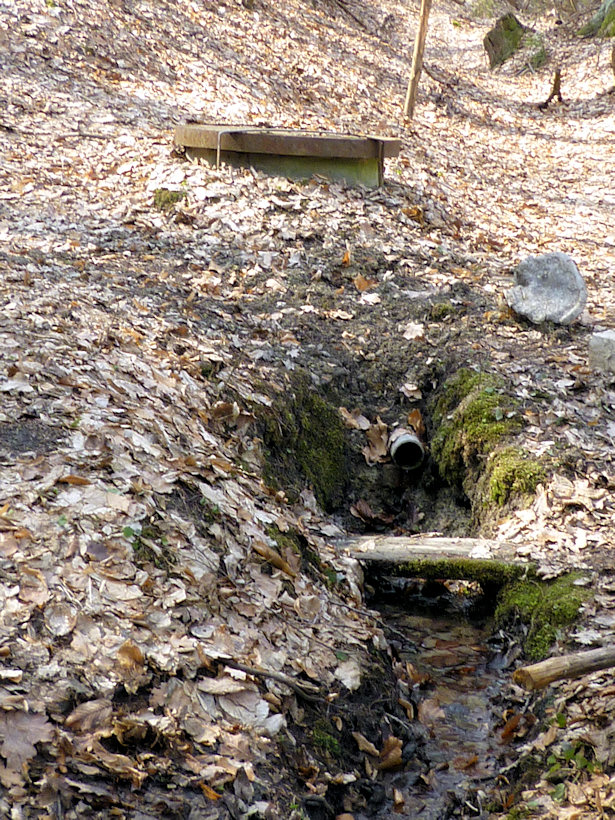 Slavíkovo studánka (3024)