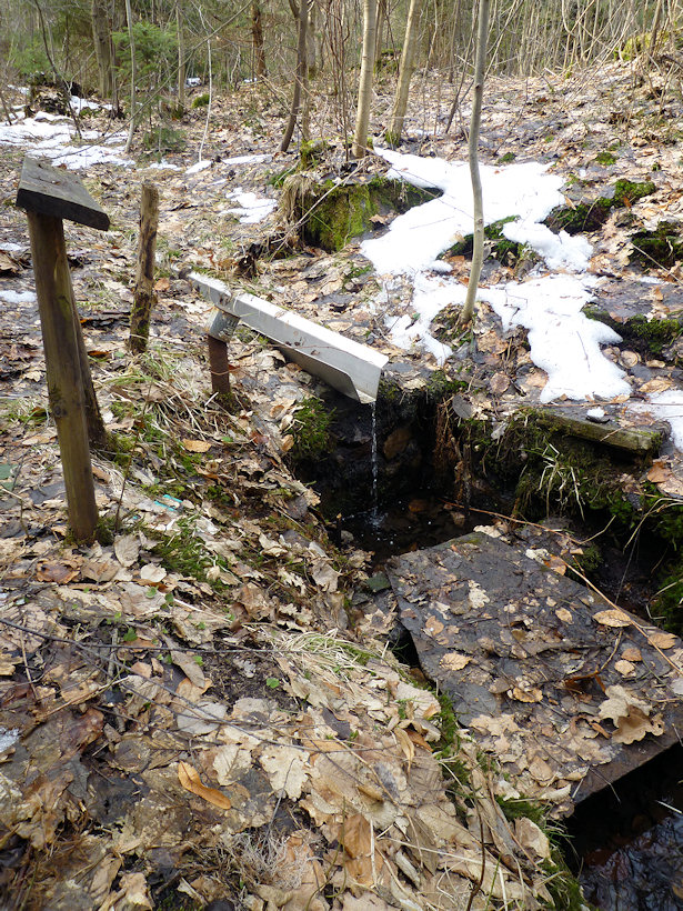 studánka V Peškově koutě (3027)