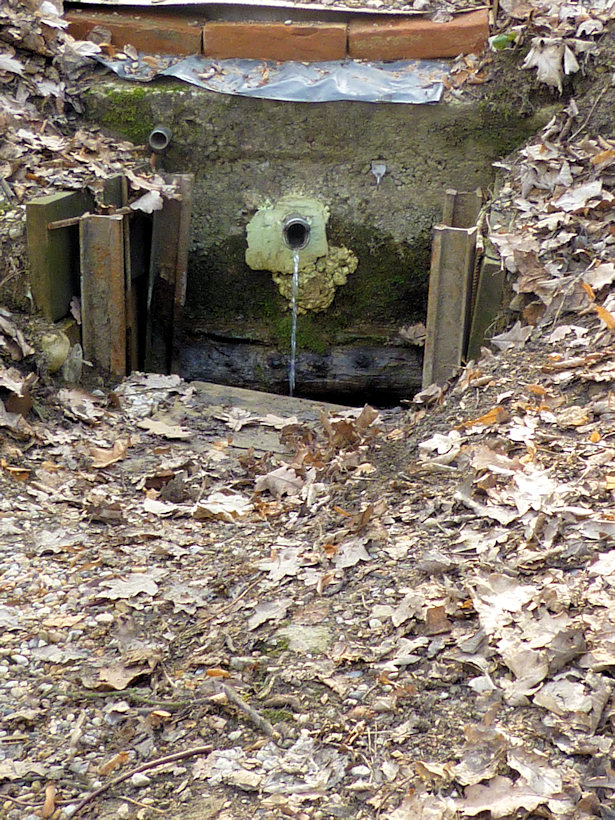 studánka U peřejí (3028)