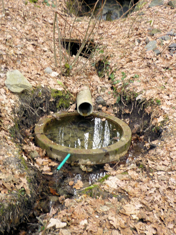studánka Pod peřejemi (3029)