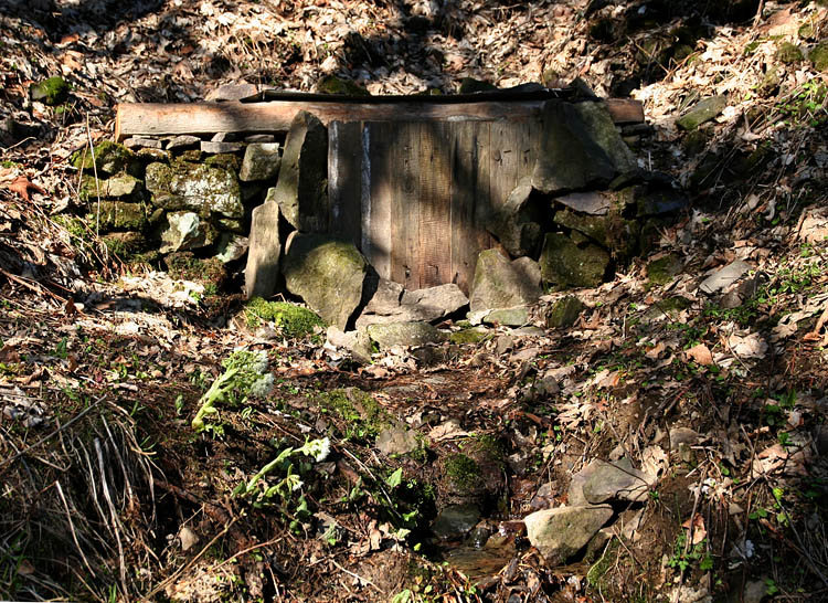 studánka Pod Gigulou (3033)