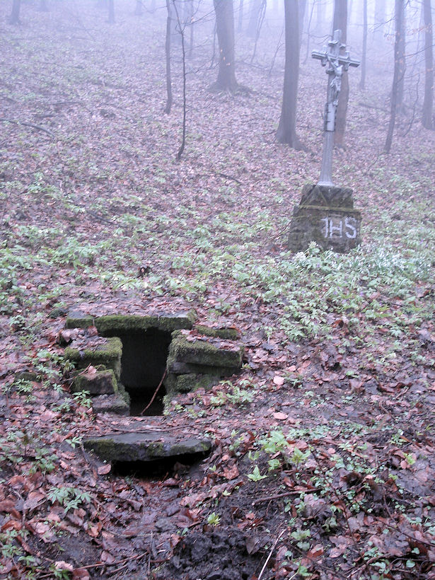 Studánka u stříbrného kříže (3034)
