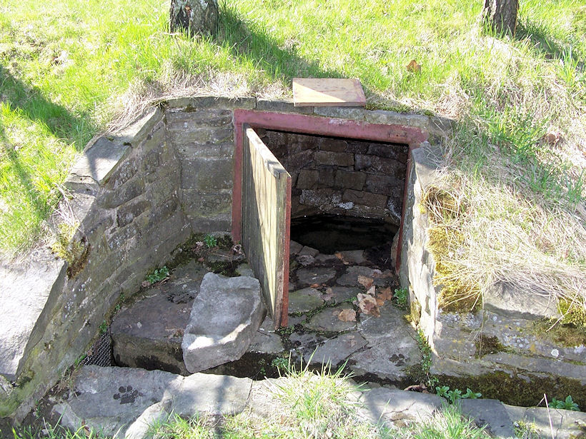 studánka bez jména (3043)