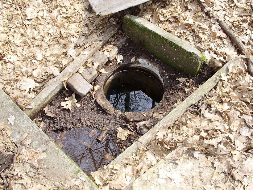studánka Sirkovica (3051)