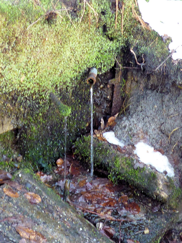 studánka Trampská (3059)