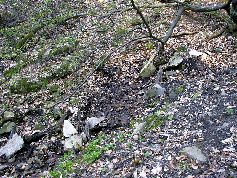 prameniště bez jména (3075)