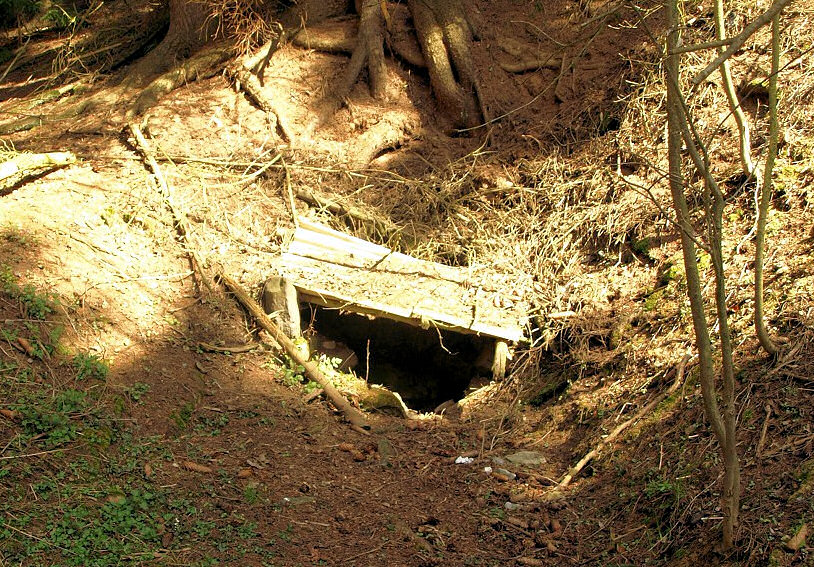 studánka V Kravím dole (3078)
