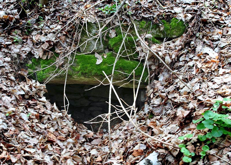studánka U Gruberova mlýna (3085)