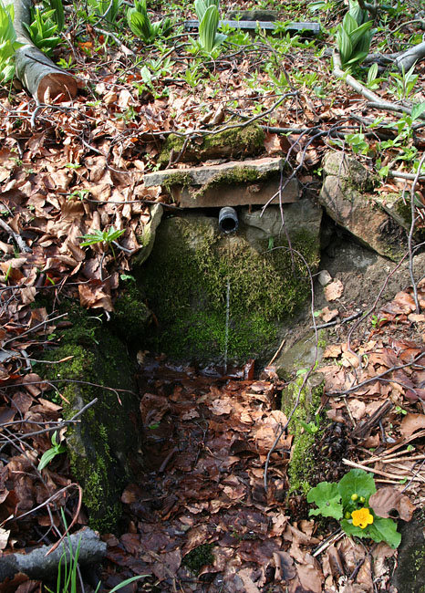 studánka U Šafránů (3087)