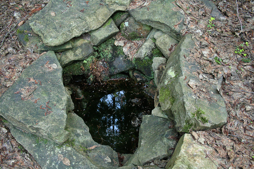 Studánka lesního muže 1 (3092)