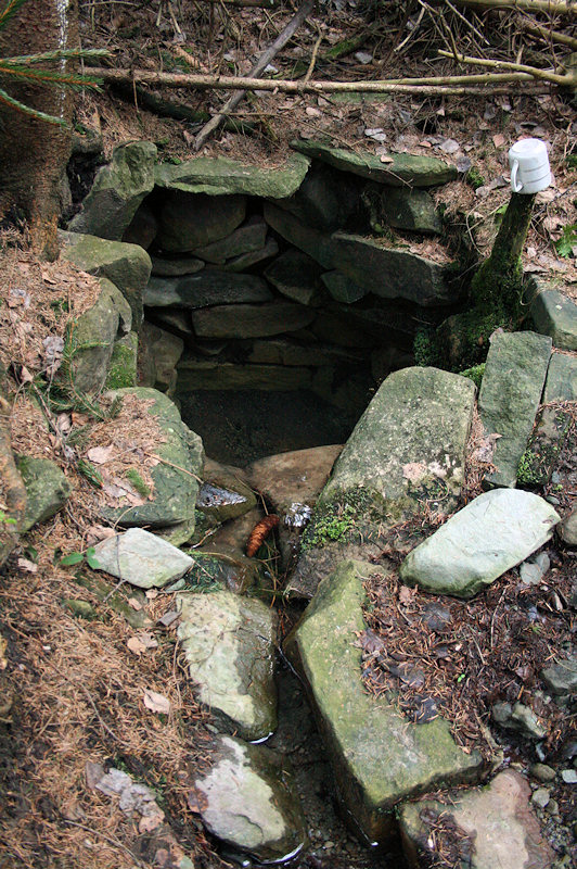 Studánka lesního muže 2 (3093)