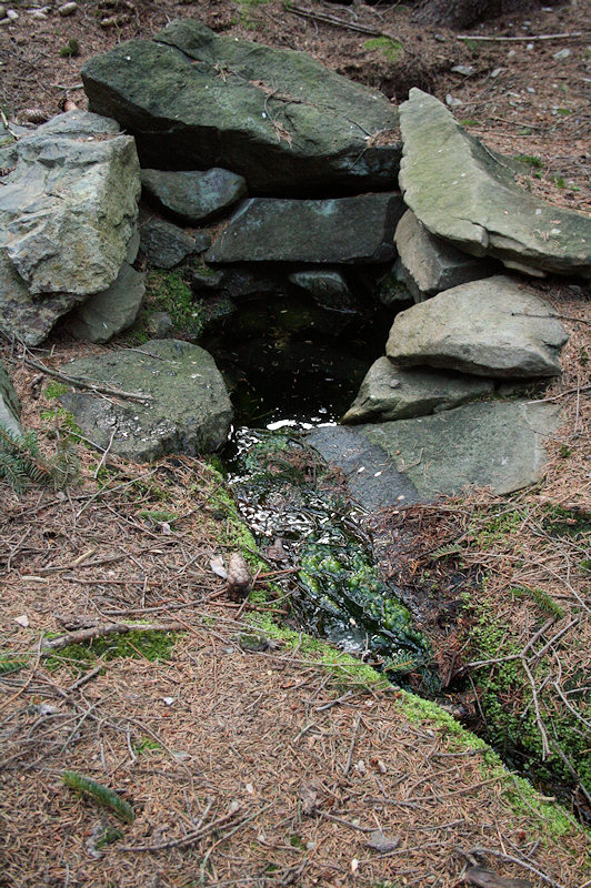 Studánka lesního muže 3 (3094)