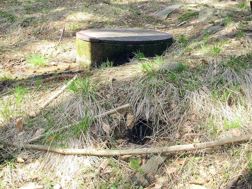 studánka bez jména (3103)