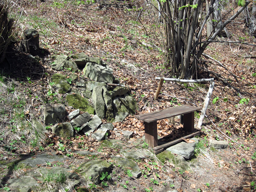 studánka U Boháčů (3110)