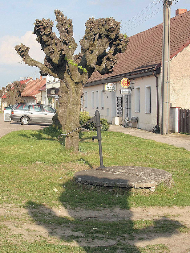 studna bez jména (3113)
