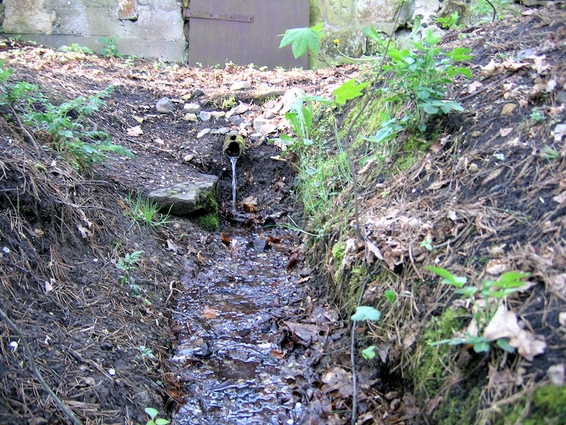 Studánka Hlínoviště (3119)