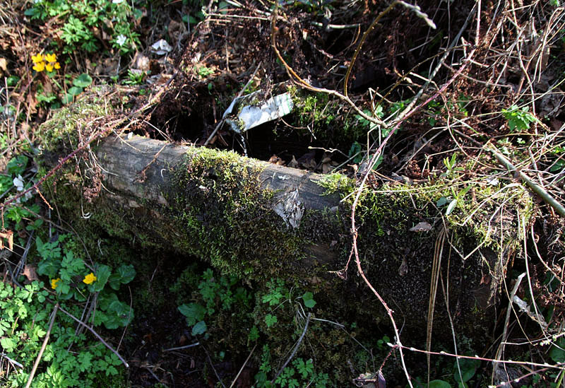 studánka V Tísňavách (3121)