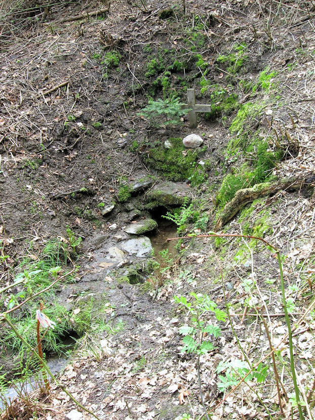 studánka České Švýcarsko (3131)
