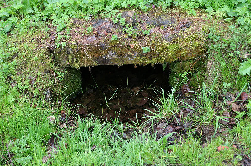studánka Pod Rysovou (3134)